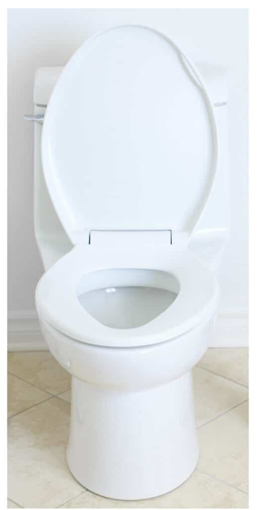 Toilet Repair and Replacement